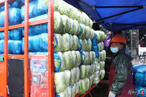 批发市场全面供应 上海市民喜爱吃的蔬菜都有