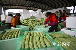 西南旱情致蔬菜批发价格出现大幅上涨
