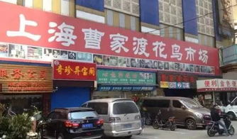 好去处 上海买买买,各大批发市场走一遍